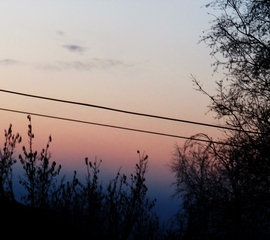 DÁNY, HŰVÖSEK A HAJNALOK NAPKELTE ELŐTT -- 2026 02 08