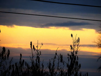 DÁNY, NÉHÁNY PERCCEL NAPKELTE ELŐTT A TÁVOLBAN -- 2026 02 20