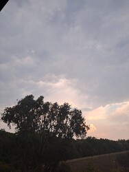 Szeged
