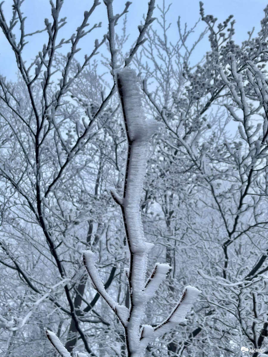 Az első dér 1.