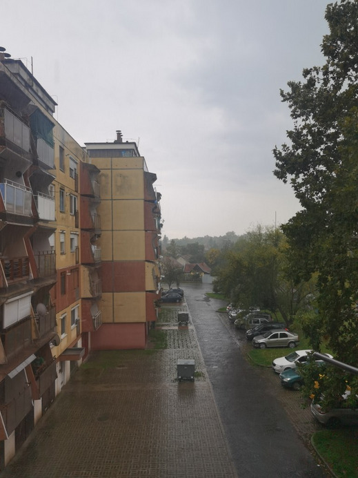 Gyula