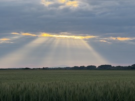 Napkelte 