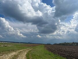 Balatonszentgyörgy