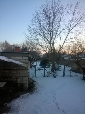 Sárbogárd