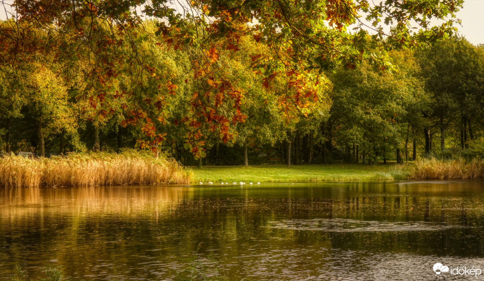 Ősz a Natuur parkban