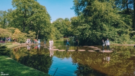 Tavak, Keukenhof 2022.