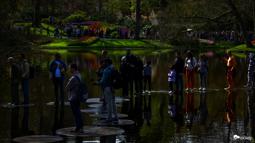 Keukenhof tavai, 2025.