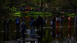 Keukenhof tavai, 2025.