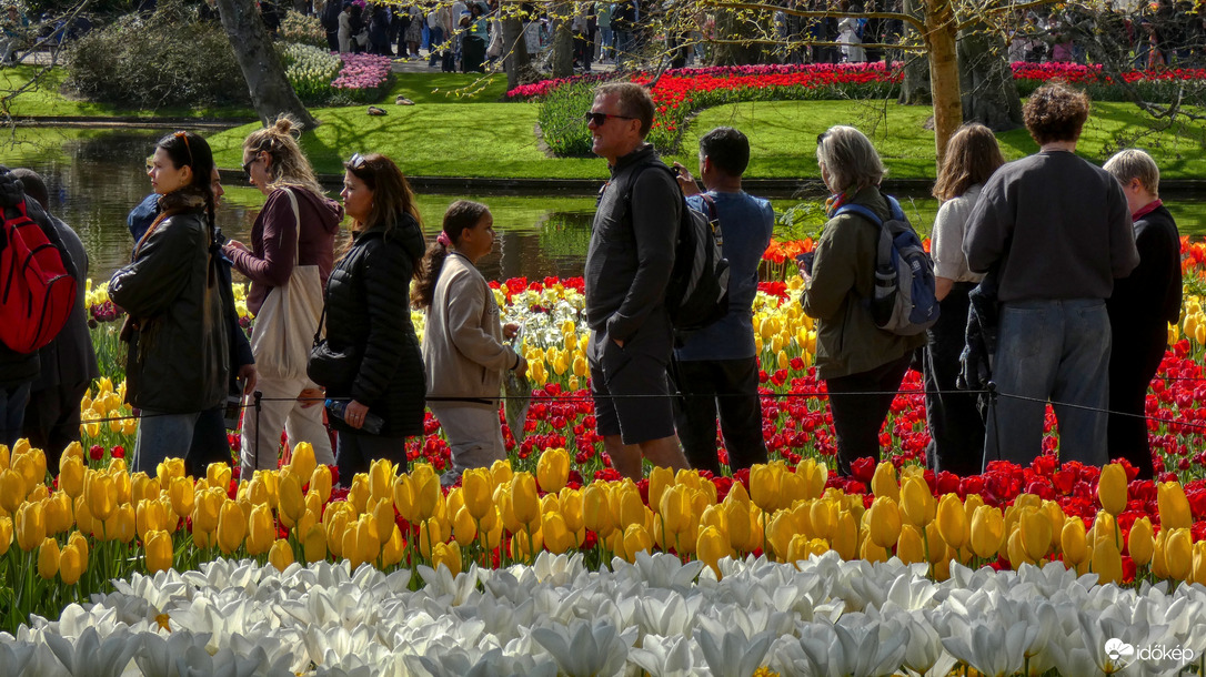 Keukenhof túristákkal, 2025.
