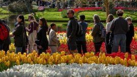 Keukenhof túristákkal, 2025.