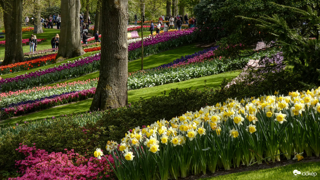 Keukenhof virágoskertje