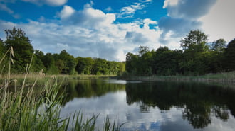 Oostvaardersplassen tavai
