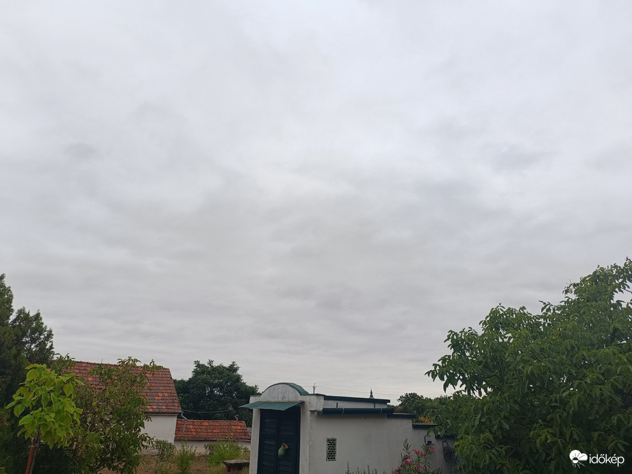 Madaras