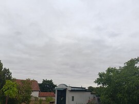 Madaras