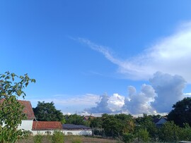 Madaras