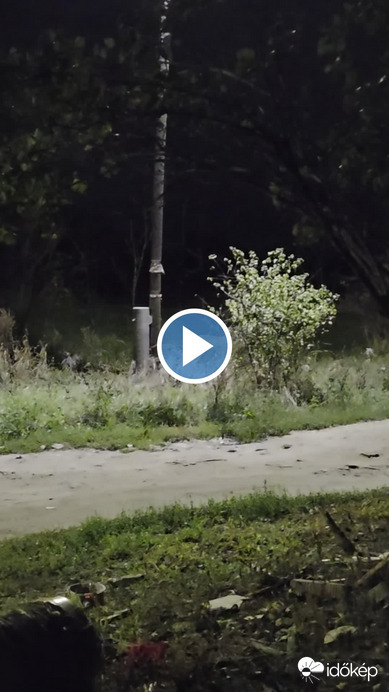 Észlelési fényképek