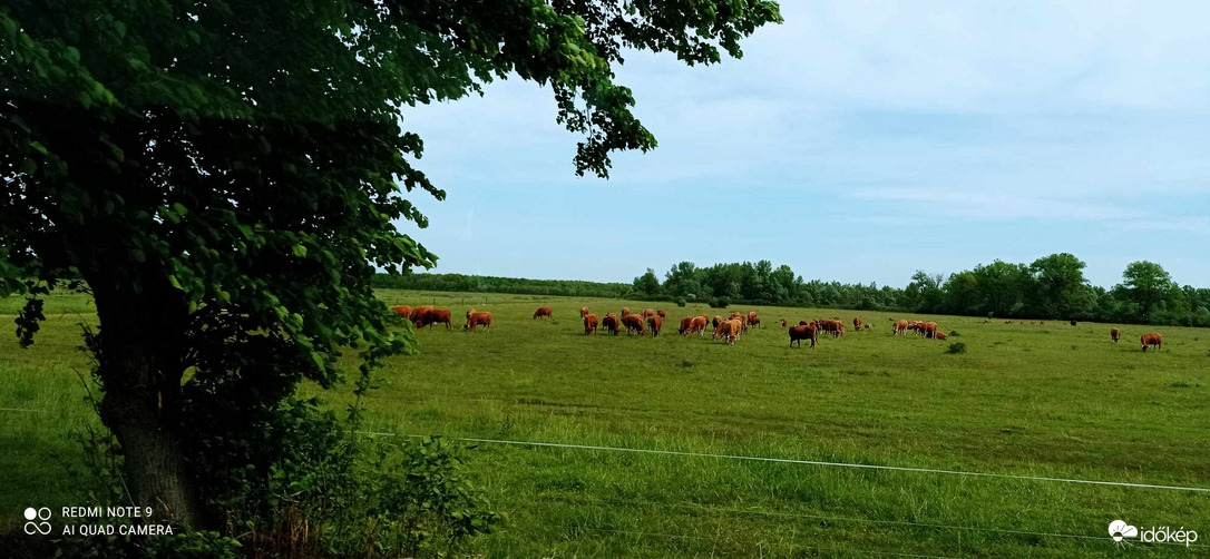 Tavaszból a nyárba