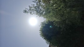 Fót