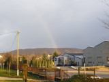 Mór