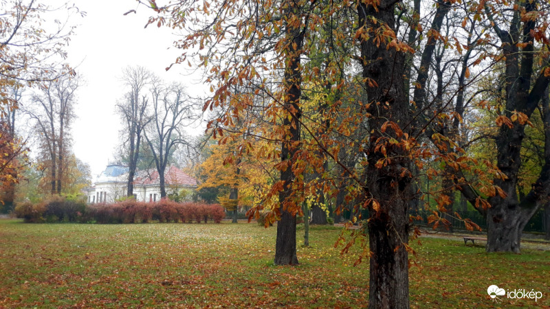 Ősz a parkban