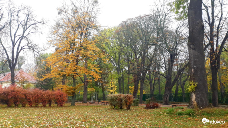 Ősz a parkban