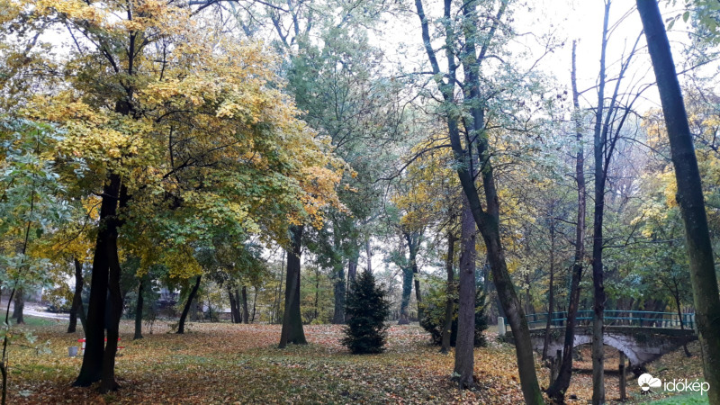Ősz a parkban
