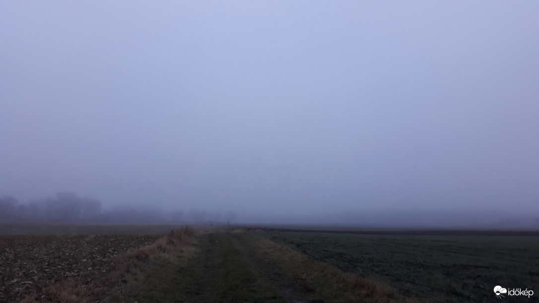 Egy ködös reggelen...