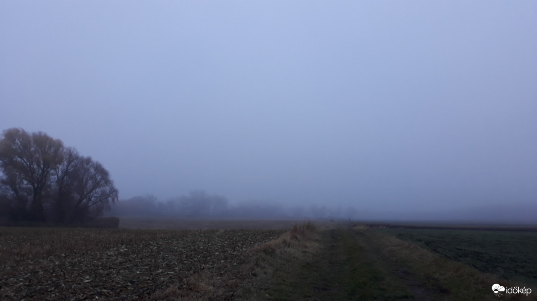 Egy ködös reggelen...