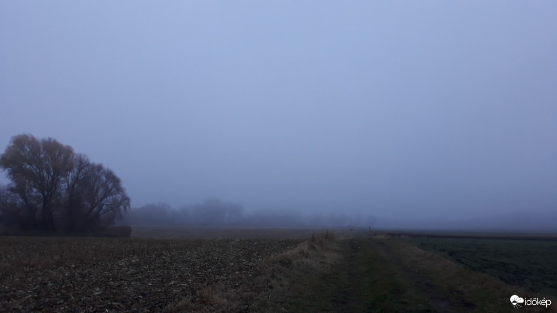 Egy ködös reggelen...