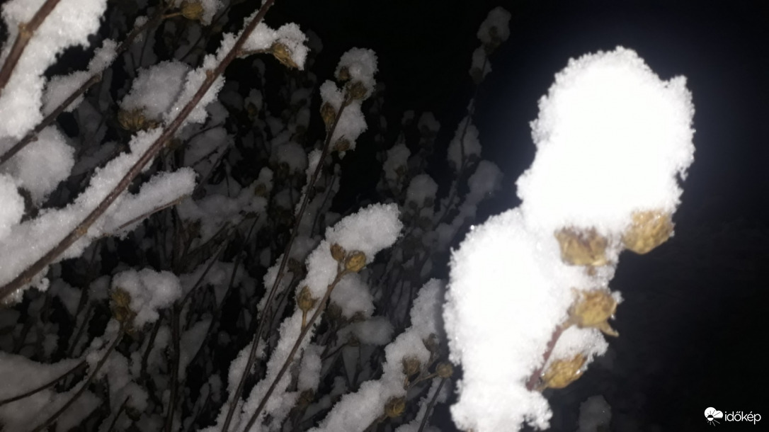 Havas téli világ!