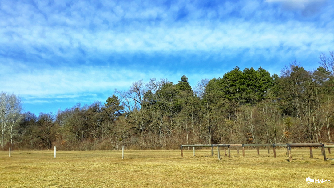 Cirrusok a délutánban