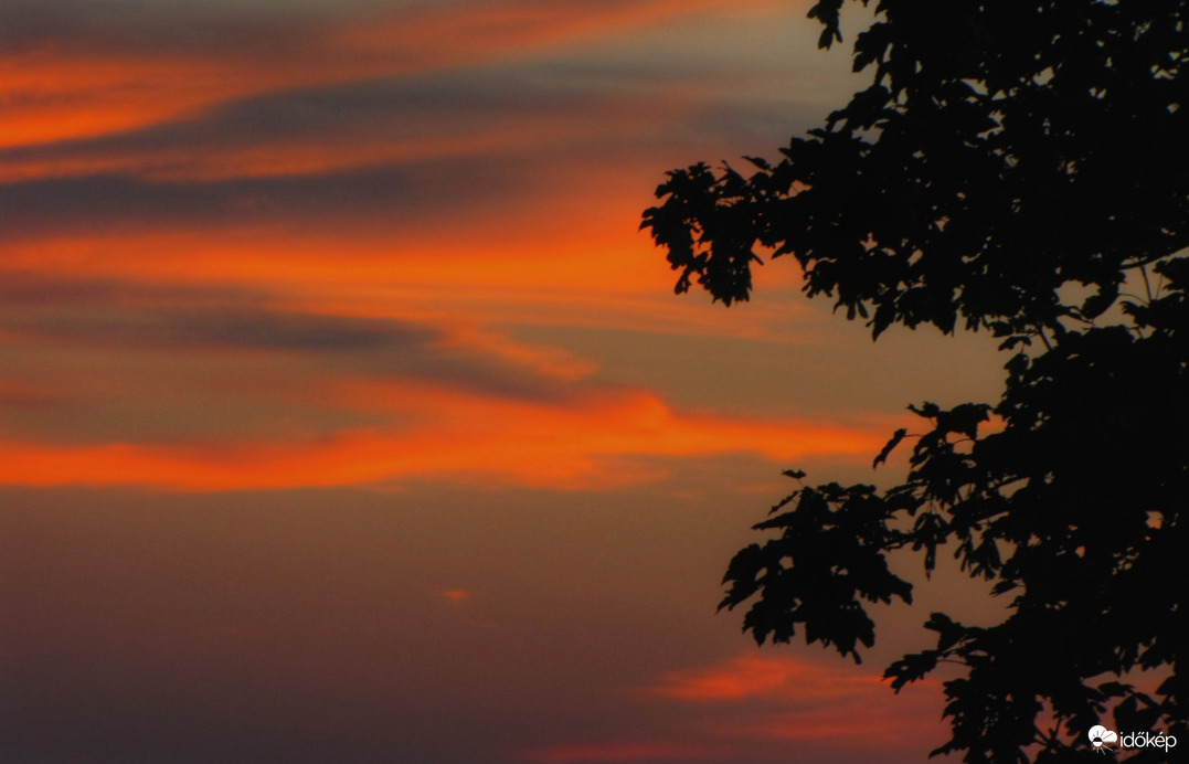 Ecsetvonások a naplementében!