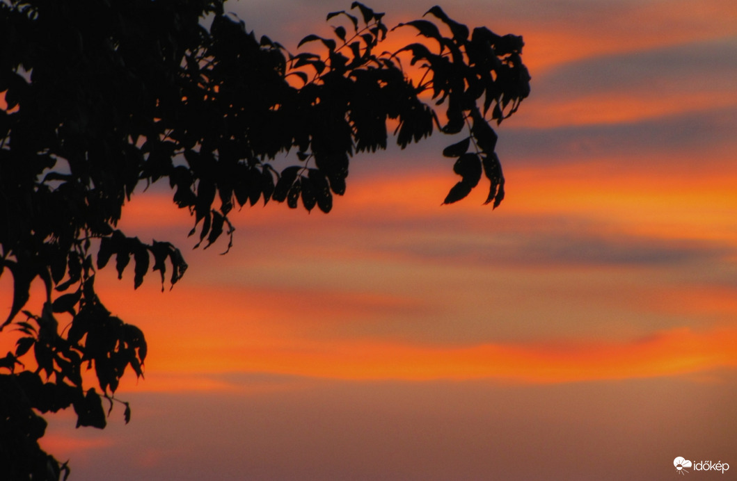 Ecsetvonások a naplementében!