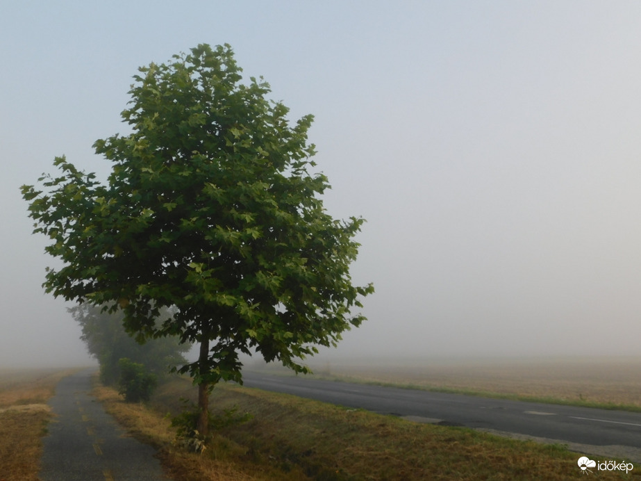 Rég nem látott vendég, köd érkezett hozzánk!