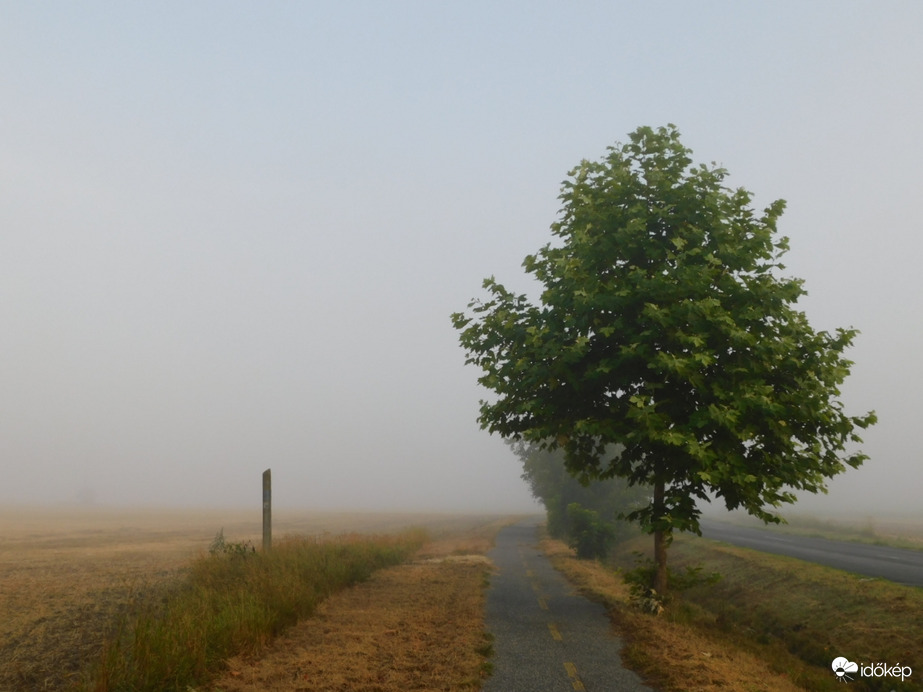 Rég nem látott vendég, köd érkezett hozzánk!