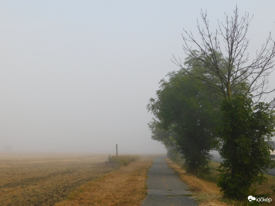Rég nem látott vendég, köd érkezett hozzánk!