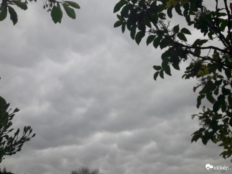 Mammatus Császár felett!