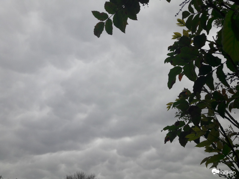 Mammatus Császár felett!