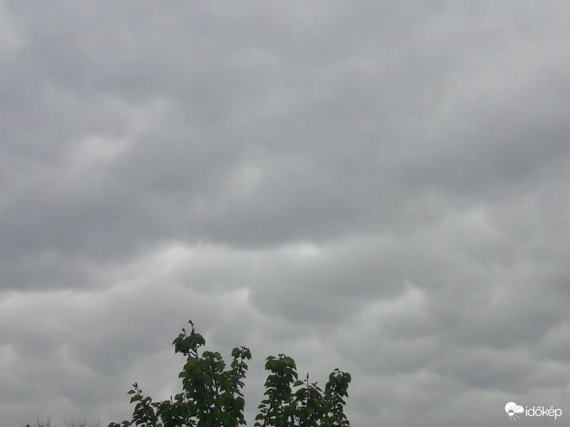 Mammatus Császár felett!
