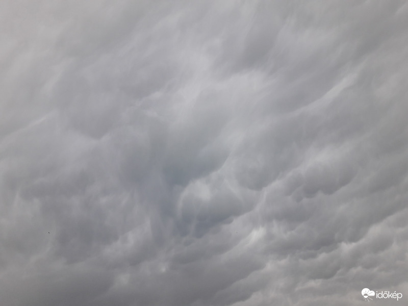 Mammatus felhők Császár felett!