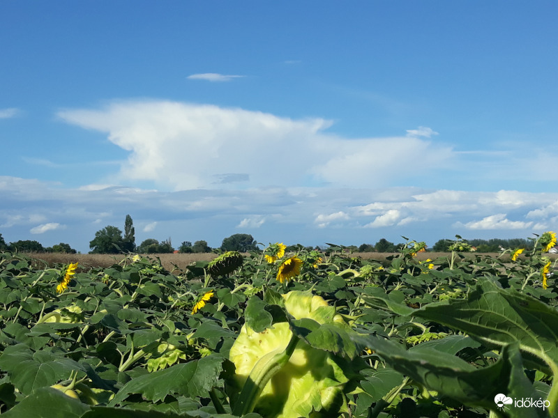 Üllős zivatarfelhő