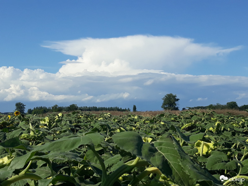 Üllős zivatarfelhő