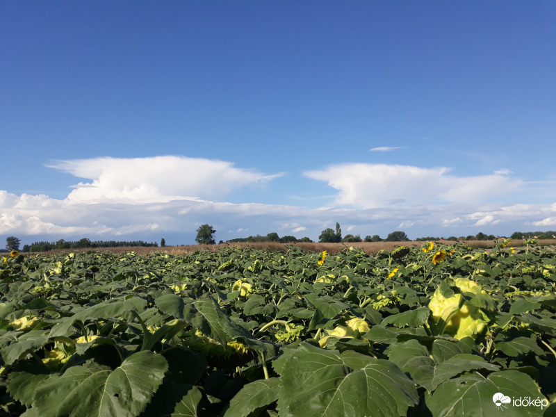 Üllős zivatarfelhő