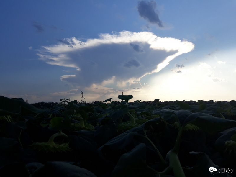 Üllős zivatarfelhő