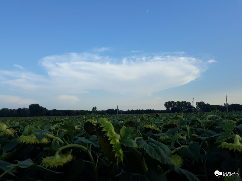 Üllős zivatarfelhő