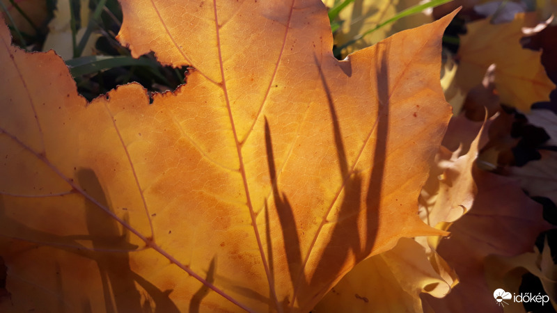 Itt van az ősz, itt van újra