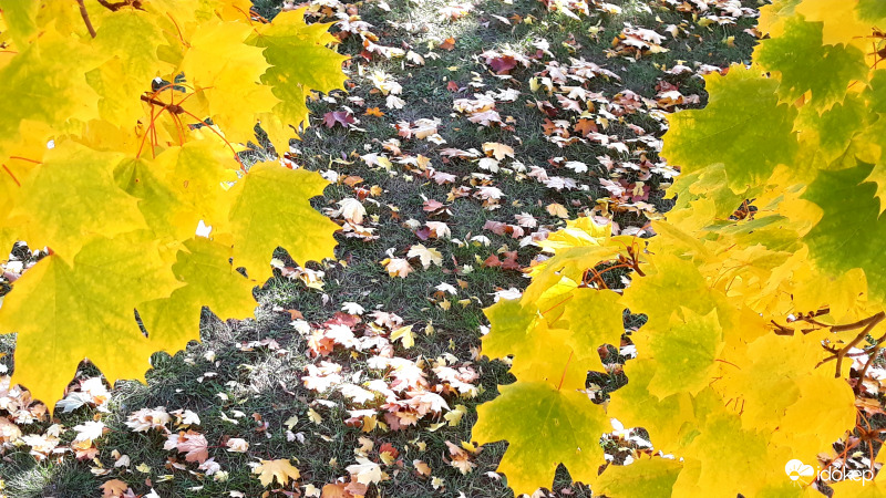 Itt van az ősz, itt van újra