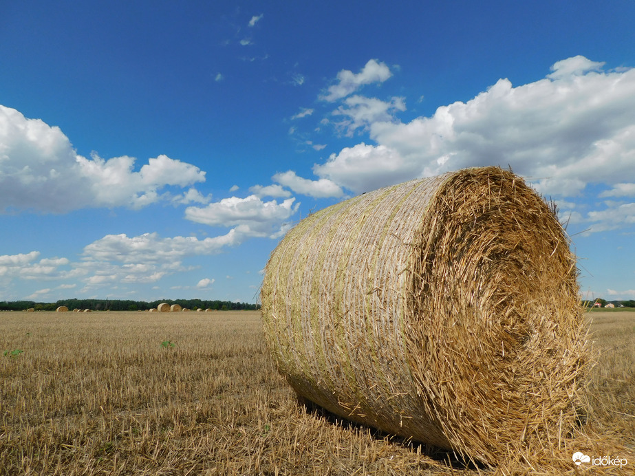 Gomolyok a bálák felett!
