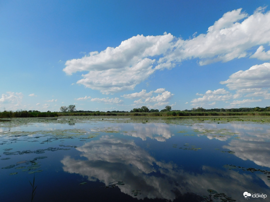 Gomolyos tükörkép!