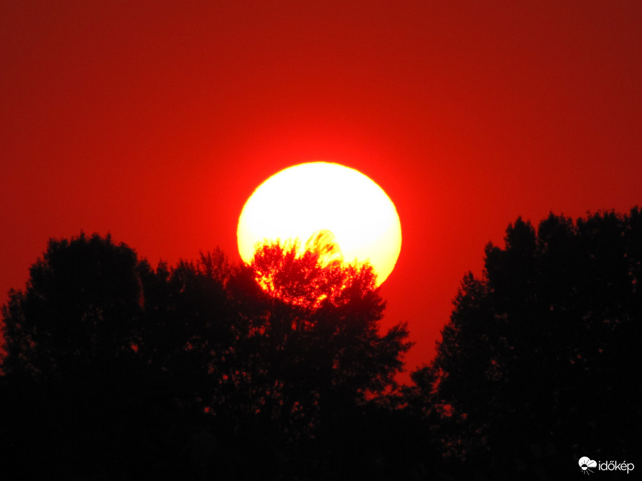 Bújkáló napkorong